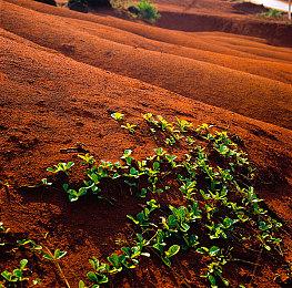 石器时代农场模拟《帕夏时代》重新上架Steam